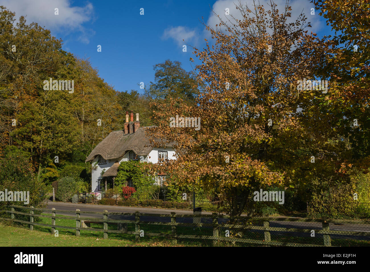 Hütte am Schwan grün, Lyndhurst, New Forest, Hampshire, England, UK Stockfoto