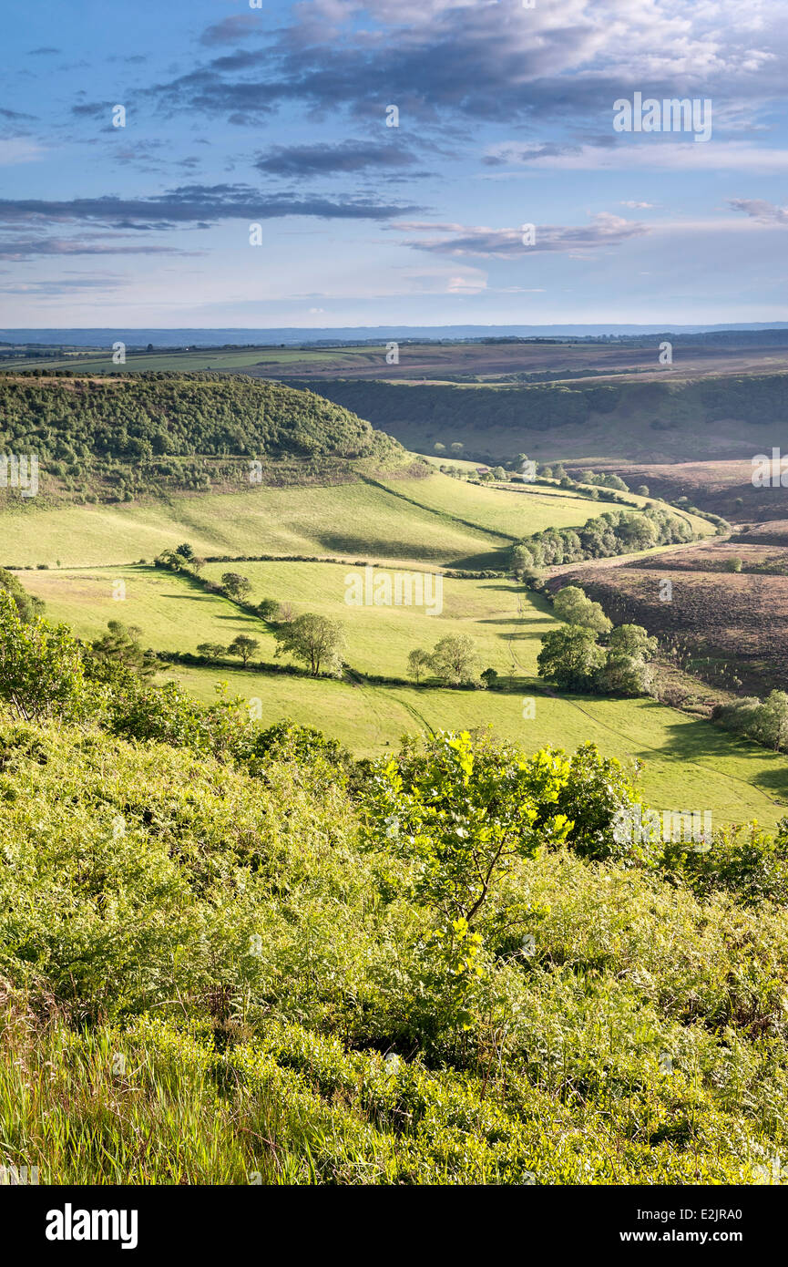 Abendlicht am Loch Horcum Stockfoto