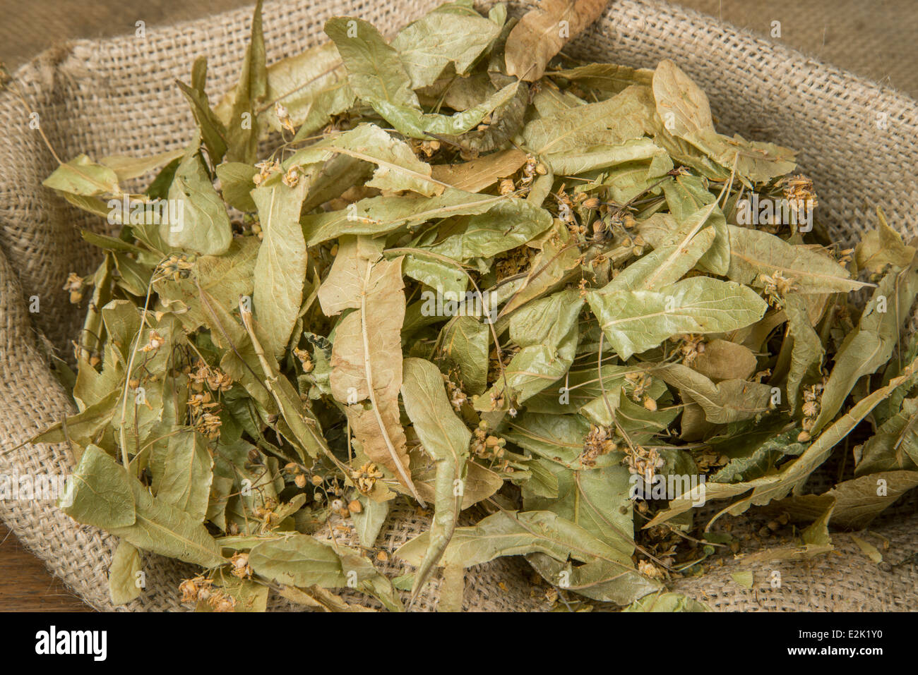 Linden Tee, Provence, Frankreich. Getrocknete Blüten und Blätter von Linde: Tilia sp. Stockfoto