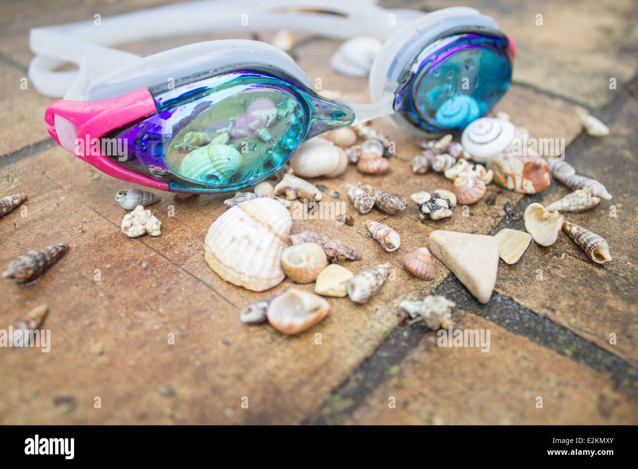 "Schwimmbrille" "Muscheln" "Still Life" Strand Stockfoto