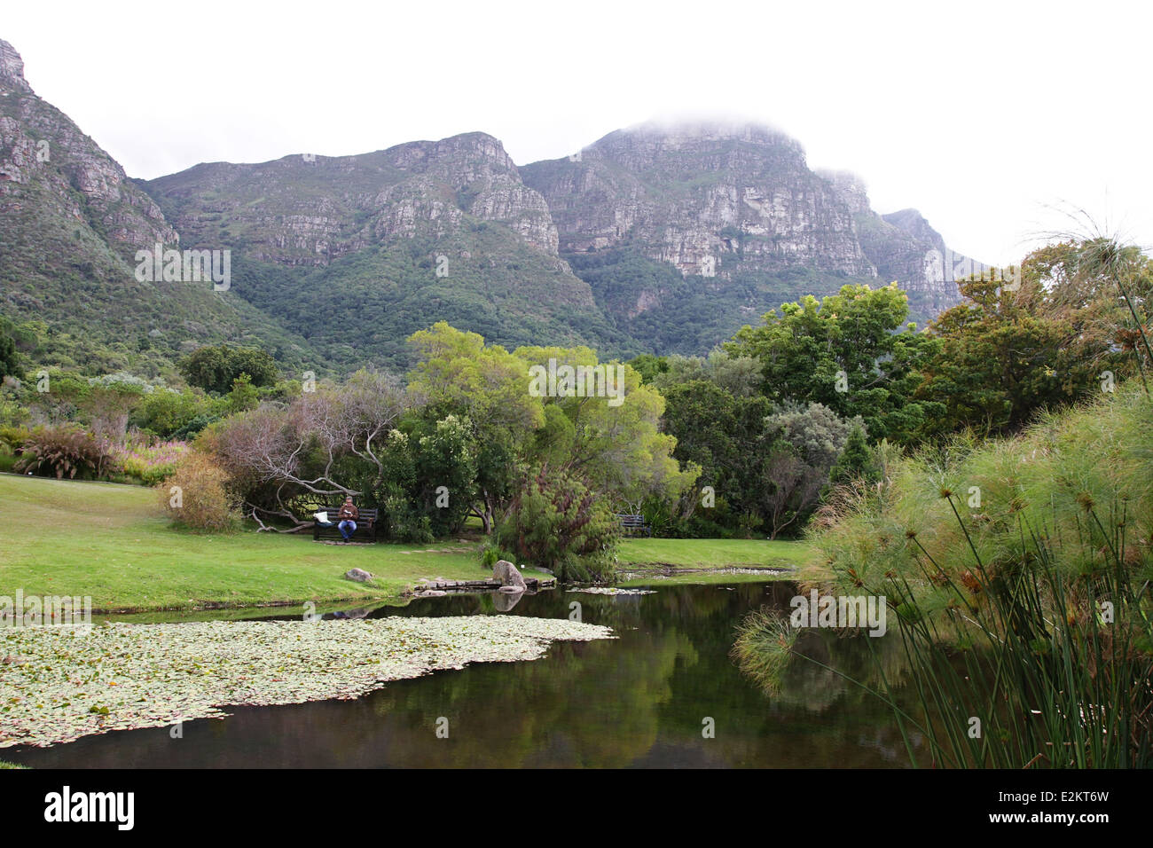 Besucher zu Kirstenbosch Botanical Gardens genießen Sie den Blick Stockfoto