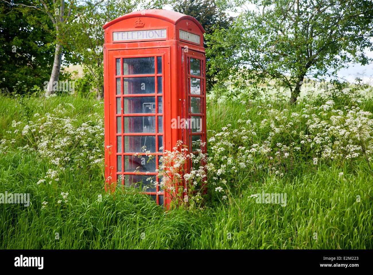 Traditionelle rote Telefonzelle in ländlichen Gegend immer überwuchert durch den Mangel an Gebrauch, Wiltshire, England Stockfoto