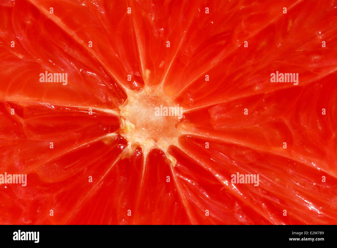 Rote Grapefruit, frisch geschnitten Stockfoto