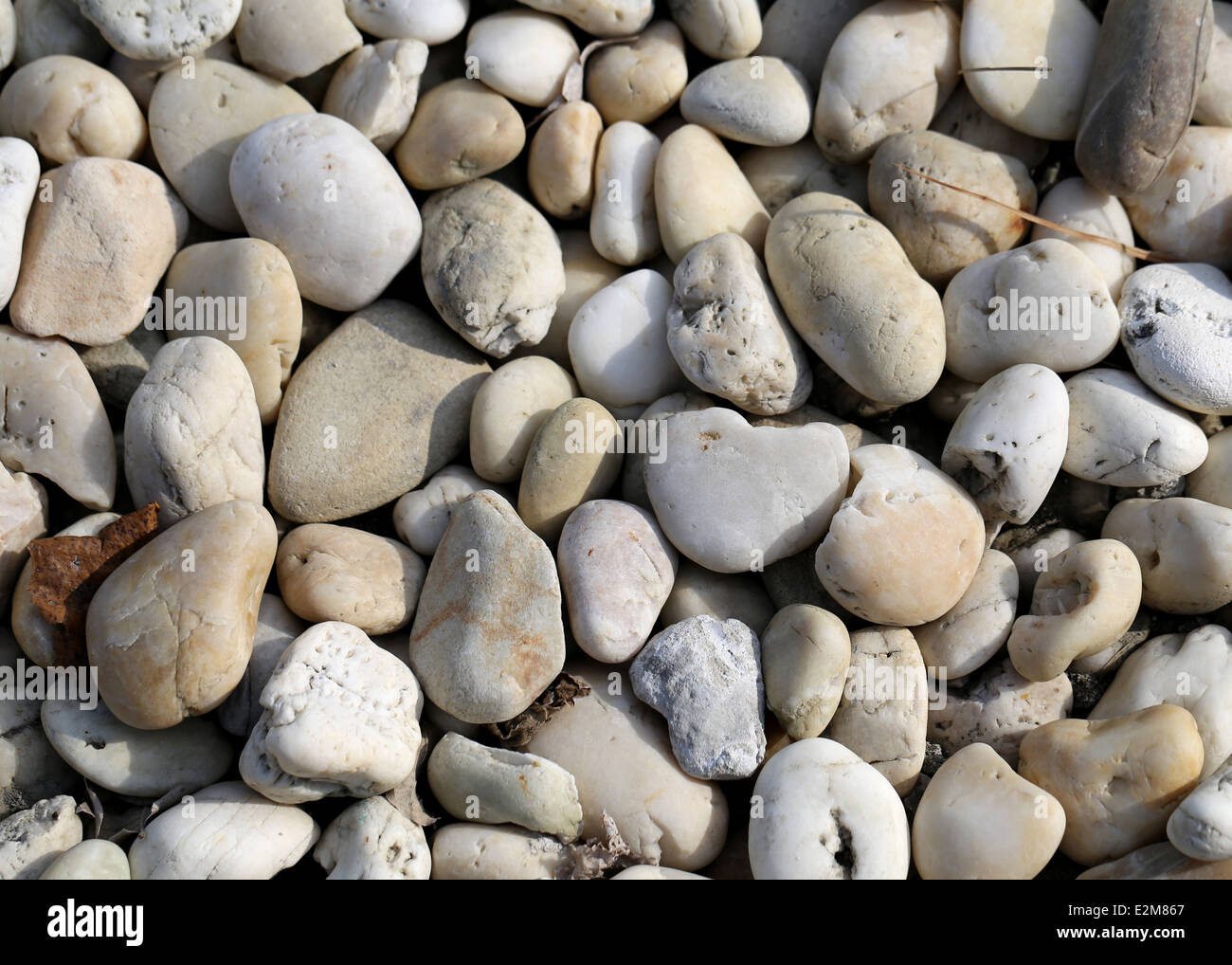interessante Textur der verschiedenen Kieselsteine am Strand Stockfoto