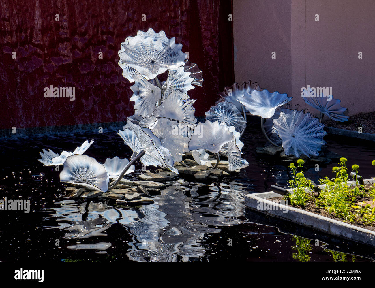 Dale Chihuly mundgeblasenes Glas Kunstausstellung in Denver Botanic Gardens Stockfoto