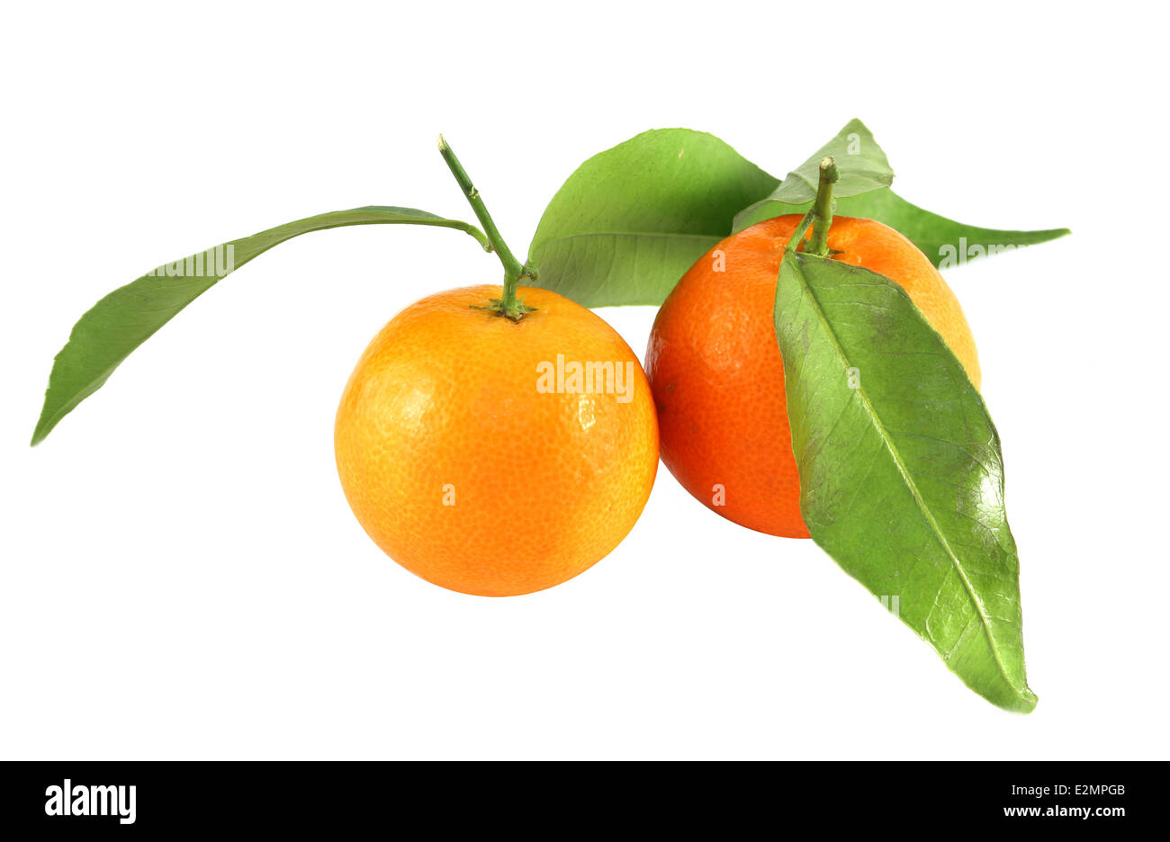 leckere Mandarinen auf weißem Hintergrund Stockfoto