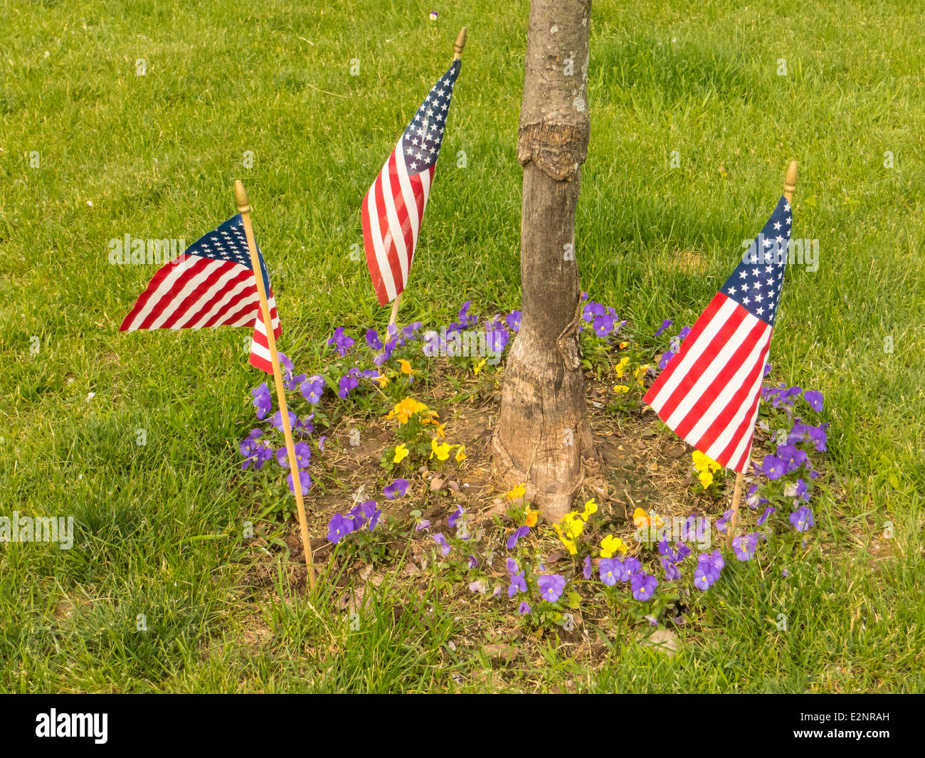 drei kleine amerikanische Flagge über grünen Rasen Stockfoto