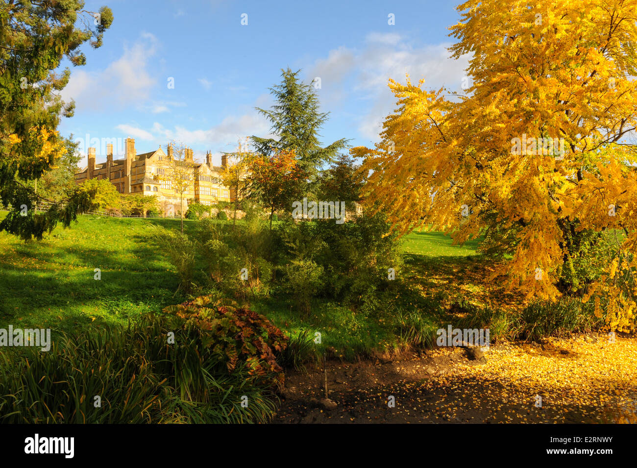 Manor House auf dem Gelände des Batsford Arboretum Umgeben von Autumn Color neben der historischen Marktstadt Moreton-in-Marsh in Den Cotswolds. Stockfoto