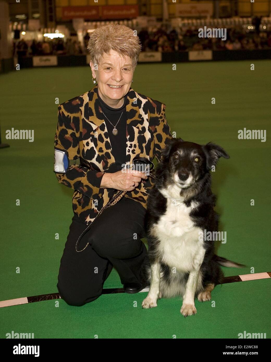 Crufts 2013 Tag 2 im Birmingham NEC - mit Spielzeug und Utility Gruppen Rasse zeigen Featuring: Atmosphäre wo: Birmingham, Vereinigtes Königreich bei: 9. März 2013 Stockfoto