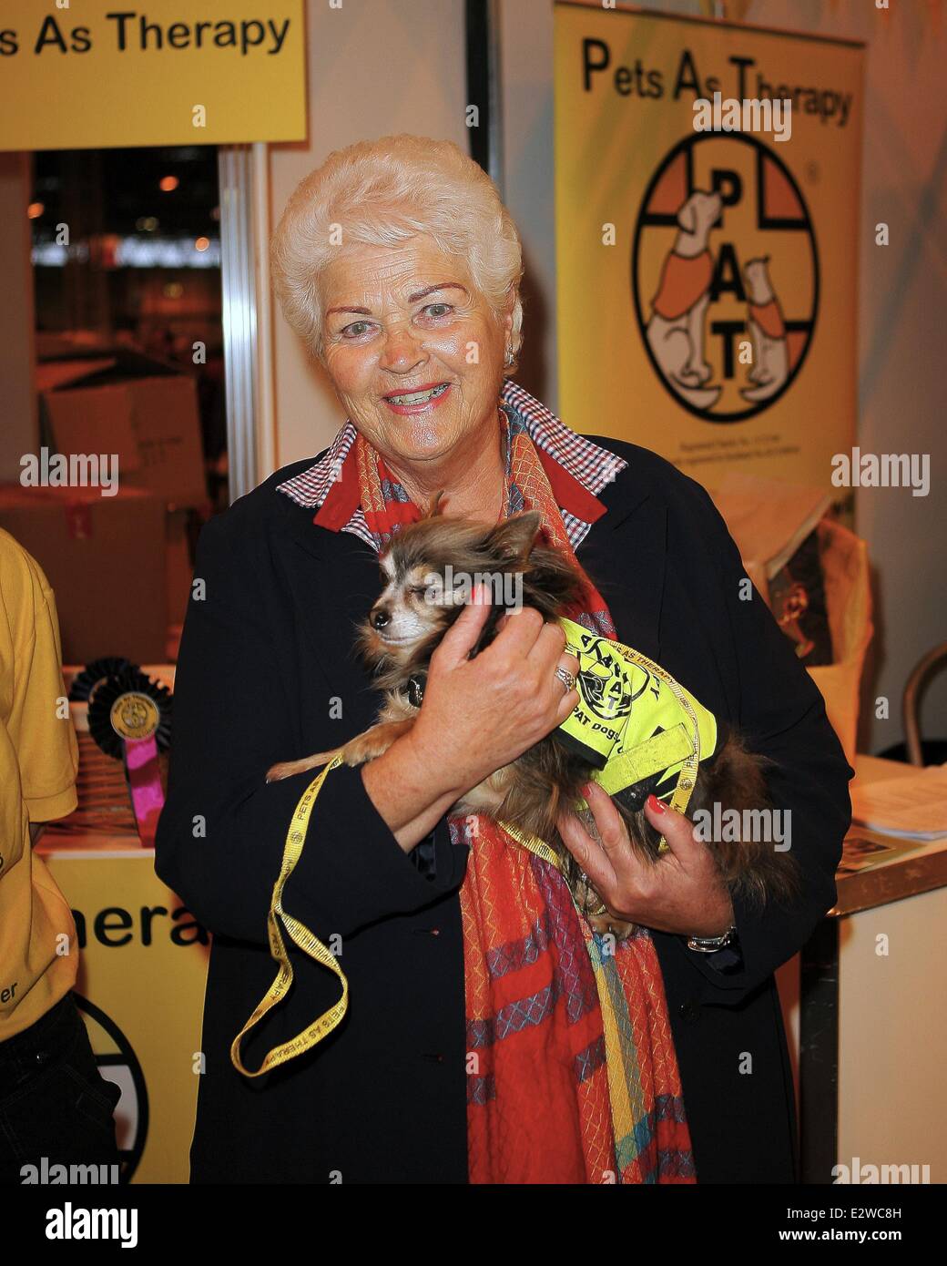 Crufts 2013 Tag 2 im Birmingham NEC - mit Spielzeug und Utility Gruppen Rasse zeigen Featuring: Pam St Clememts wo: Birmingham, Vereinigtes Königreich bei: 9. März 2013 Stockfoto