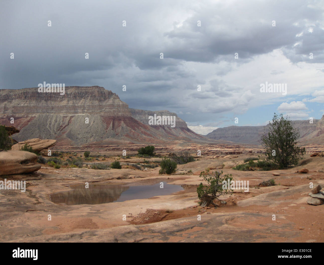 Kanab Creek Wilderness Stockfoto