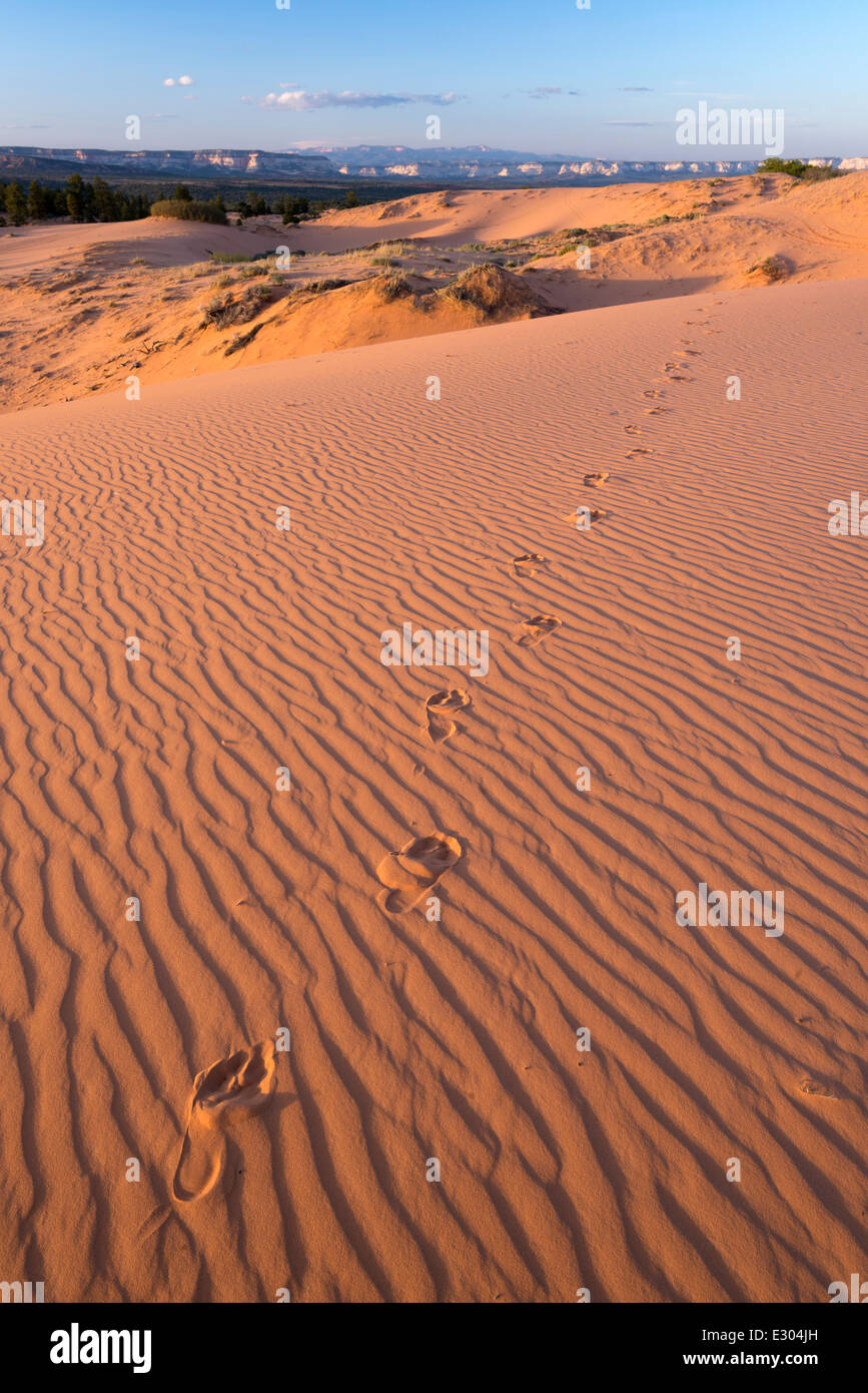 Barfuß Fußspuren im Sand Dune, Moquith Mountain Wilderness Untersuchungsgebiet im südlichen Utah. Stockfoto