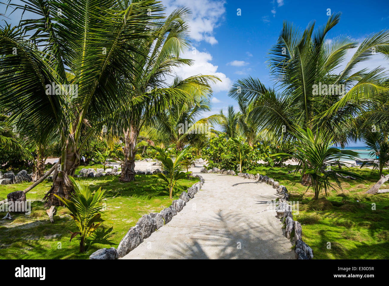 Seaside Park mit tropischer Vegetation im Dorf Mahahual, Costa Maya, Mexiko. Stockfoto