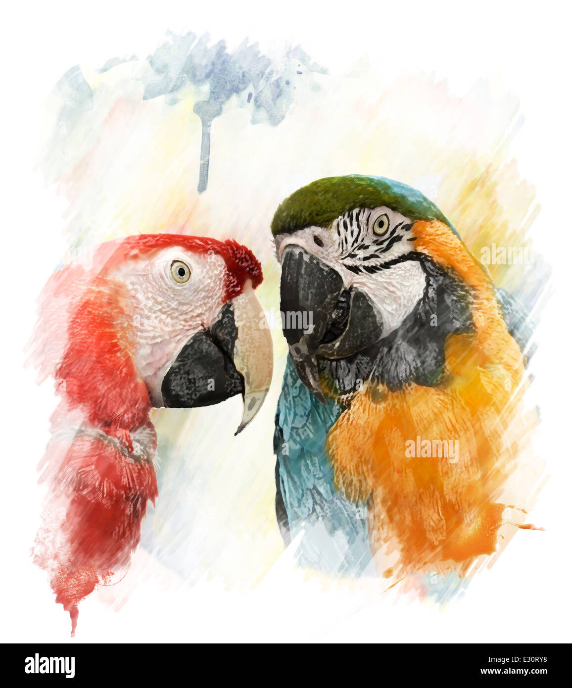 Digitales Aquarell von zwei bunte Papageien Stockfoto