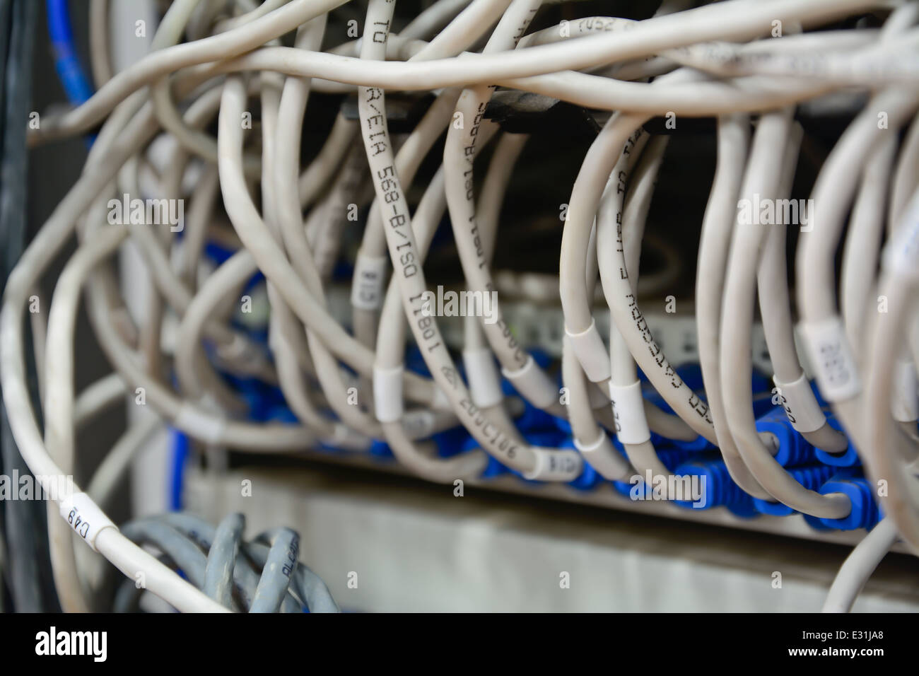 Nahaufnahme des Chaos Muster Ethernet-Kabel mit Computer-Internet-Server verbunden Stockfoto