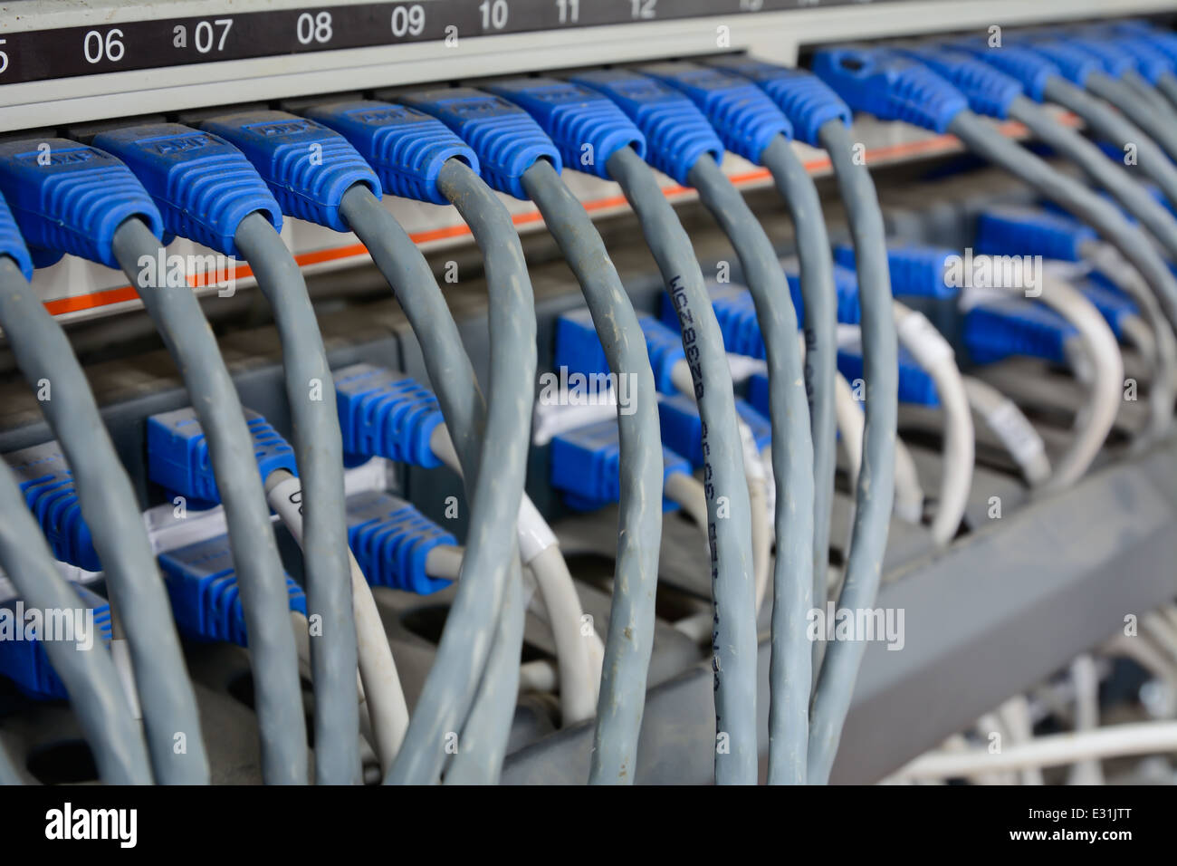 Nahaufnahme von Ethernet-Kabel mit Computer Internetserver mit vielen Staub verbunden; mangelnde Wartung Stockfoto