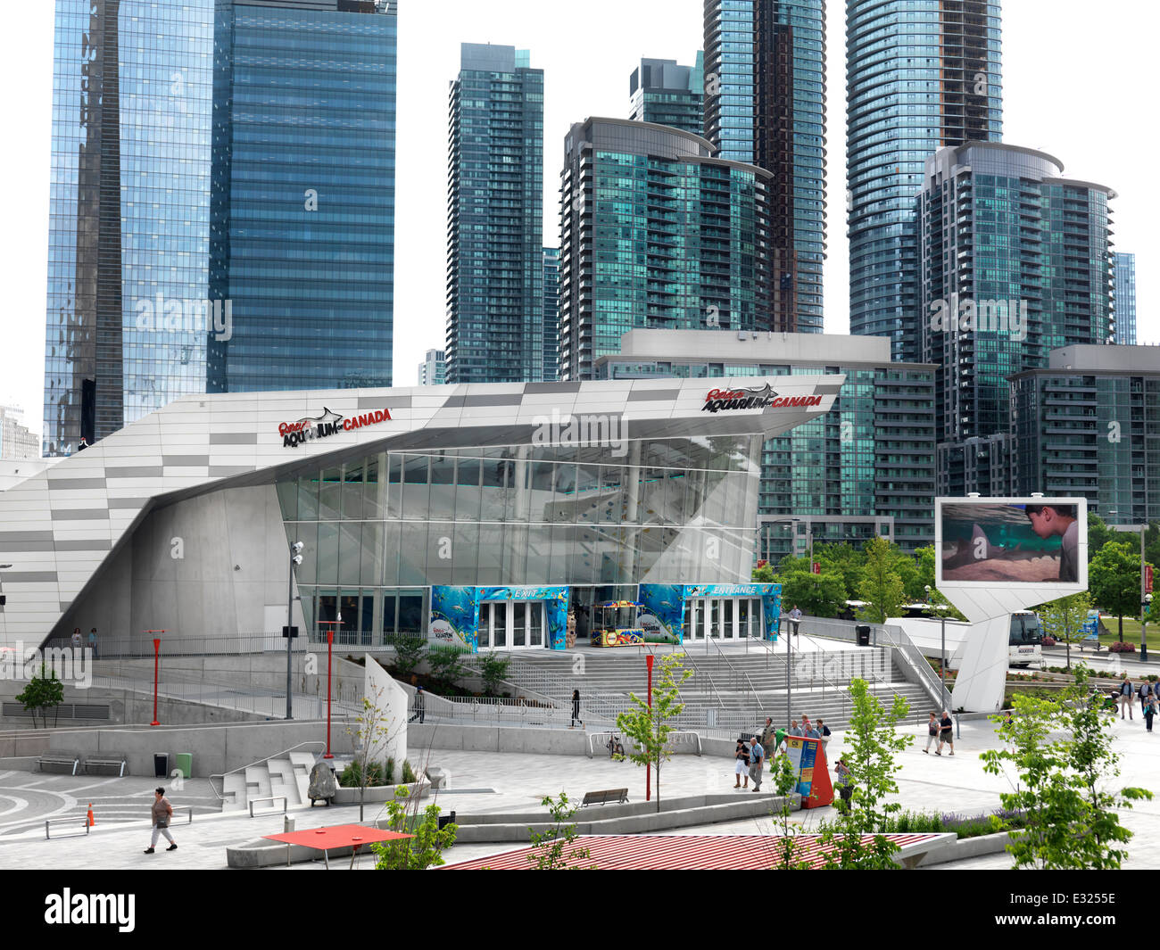 Ripleys Aquarium of Canada in der Innenstadt von Toronto, Ontario, Kanada 2014 Stockfoto