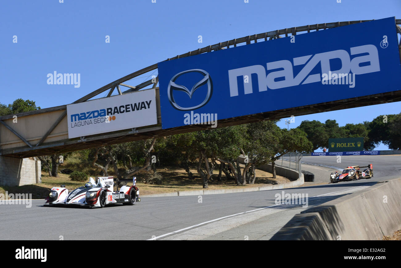 American Le Mans Series 2013 bei der Mazda Raceway Laguna Seca mit: Klaus Graf Wo: Kalifornien, Vereinigte Staaten, wann: 18. Mai 2013 Stockfoto