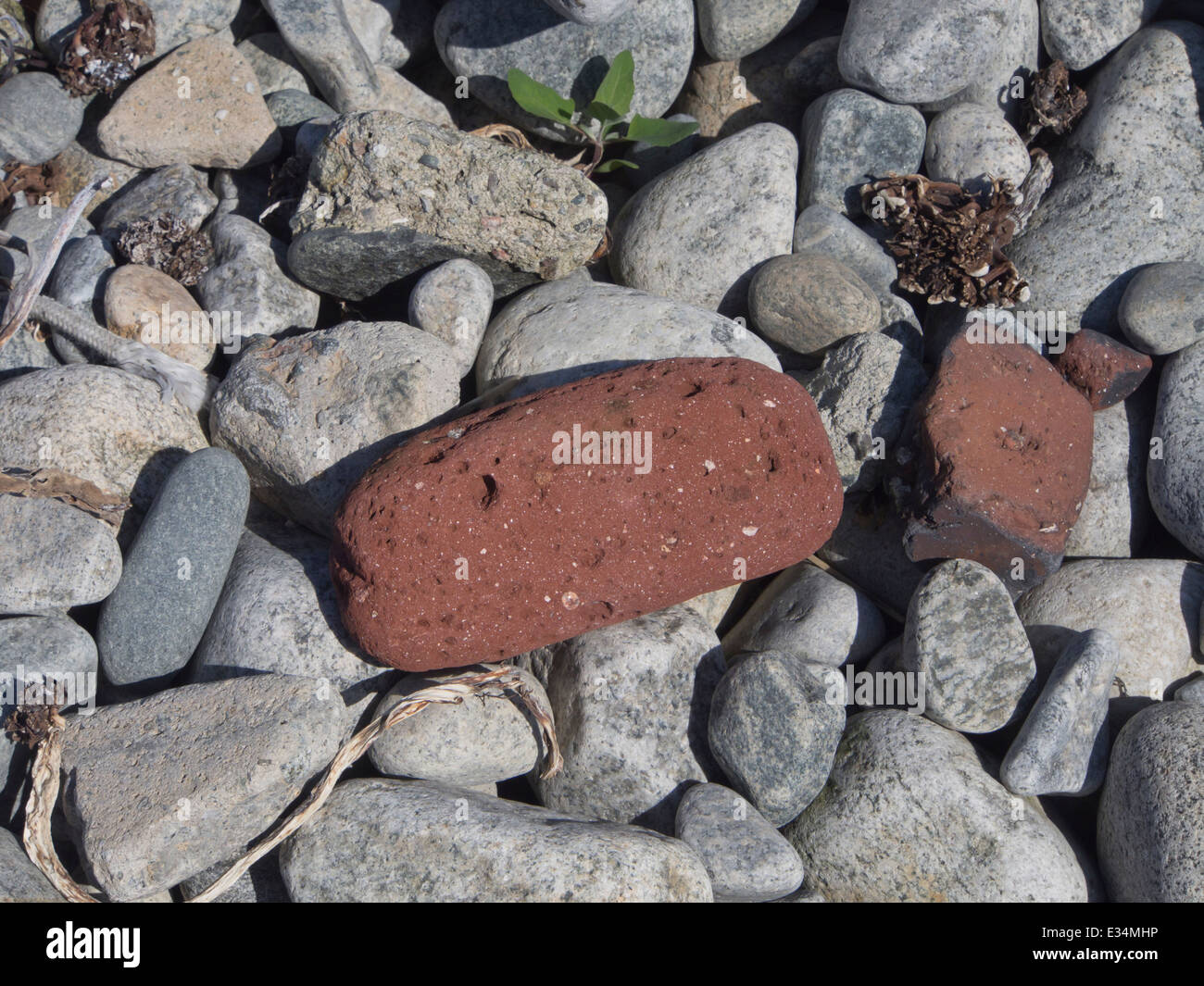 Nahaufnahme eines abgerundeten Steinen am Strand an der Nordsee in Norwegen mit roten Ziegeln auch verwittert und abgerundet von Zeit im Meer Stockfoto