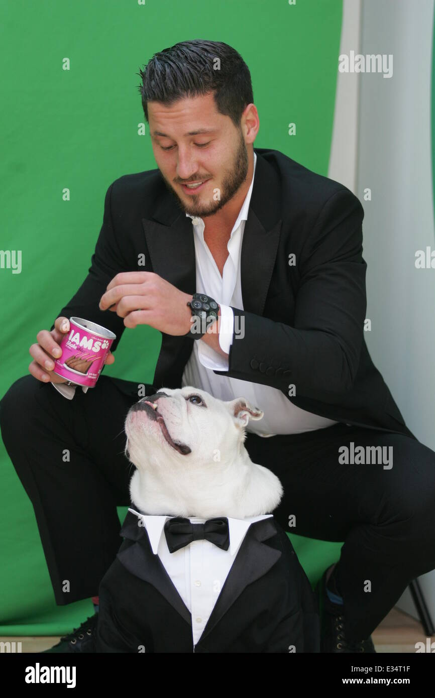 Valentin Chmerkovskiy und seine Bulldogge "Sir Schlaf" besuchen den Riverside Park Hund laufen Featuring: Val Chmerkovkiy Where: New York, NY, Vereinigte Staaten von Amerika bei: 20. Juni 2013 Stockfoto