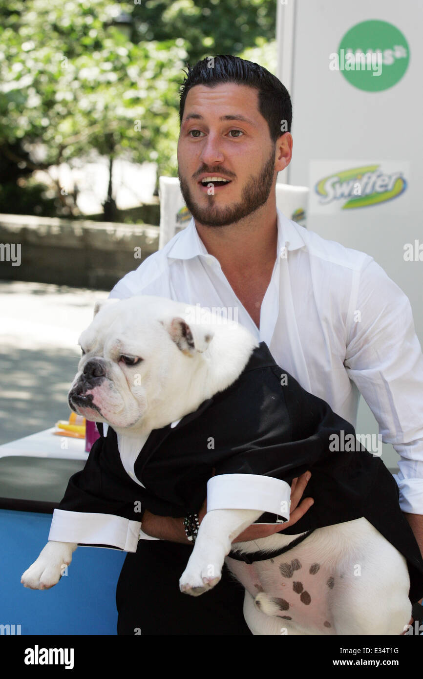 Valentin Chmerkovskiy und seine Bulldogge "Sir Schlaf" besuchen den Riverside Park Hund laufen Featuring: Val Chmerkovkiy Where: New York, Stockfoto