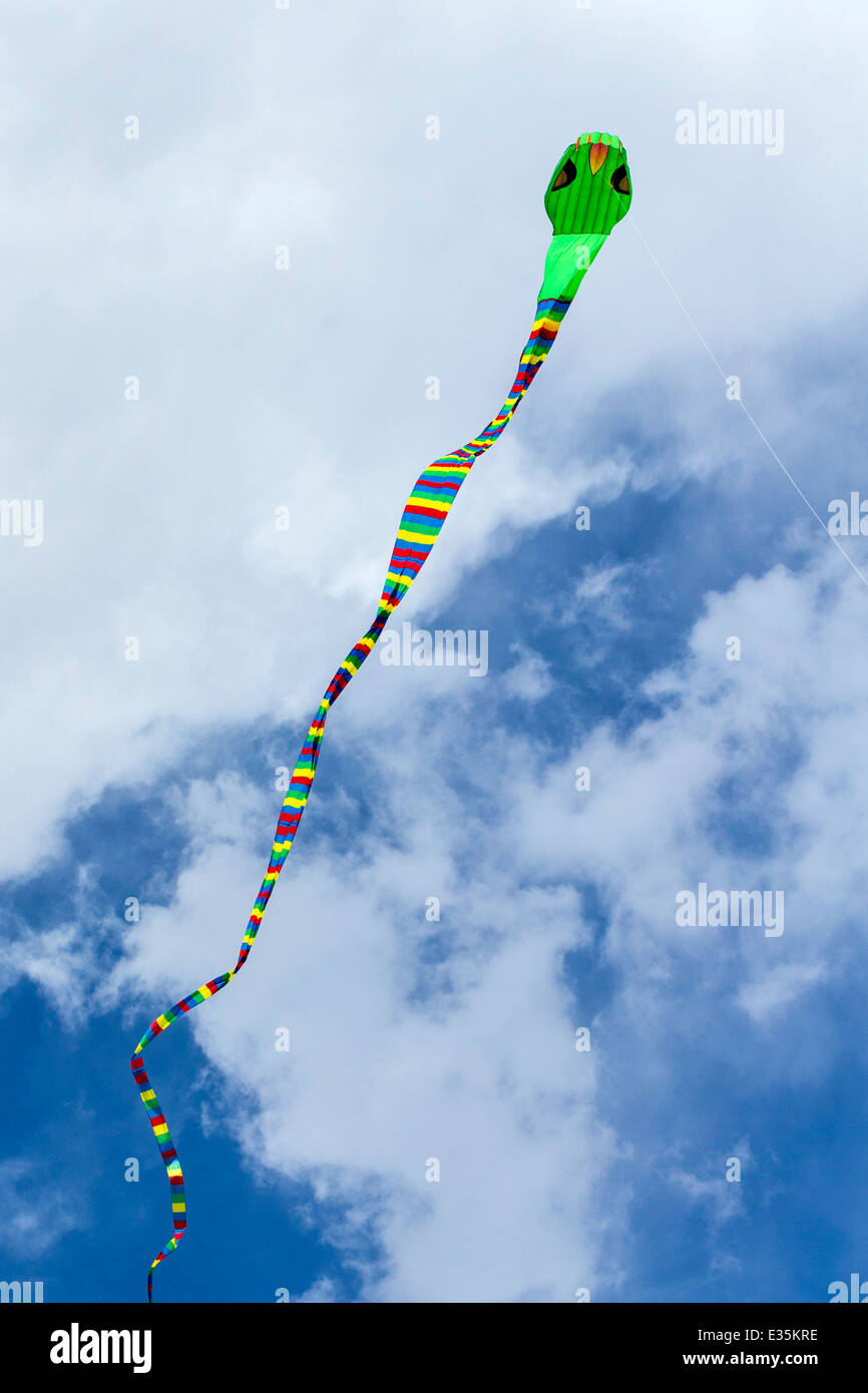 Schlange Schlange geformt Kite vor einem Colorado-Himmel Stockfoto