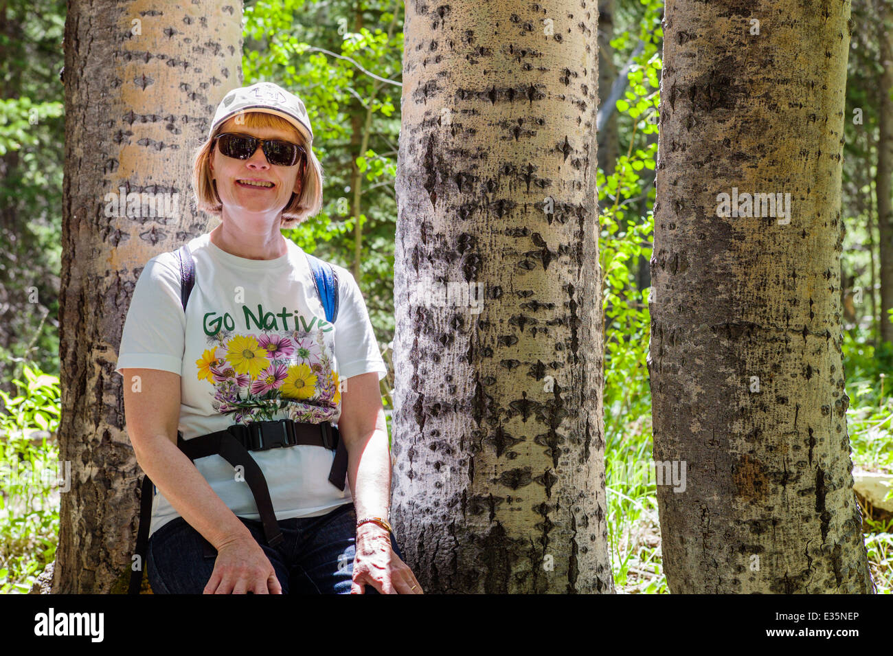 Foto von Frau auf Wanderung, anhalten unter Aspen Bäume, South Fooses Creek, Colorado, USA Stockfoto