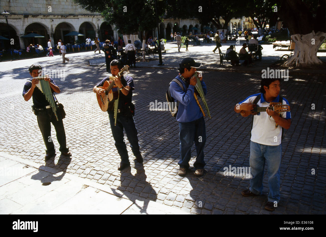 Oaxaca, Mexiko, Straßenmusiker Stockfoto