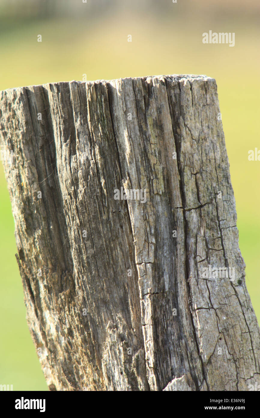 Gebrochene Holzzaun Pole, Landschaft Stockfoto