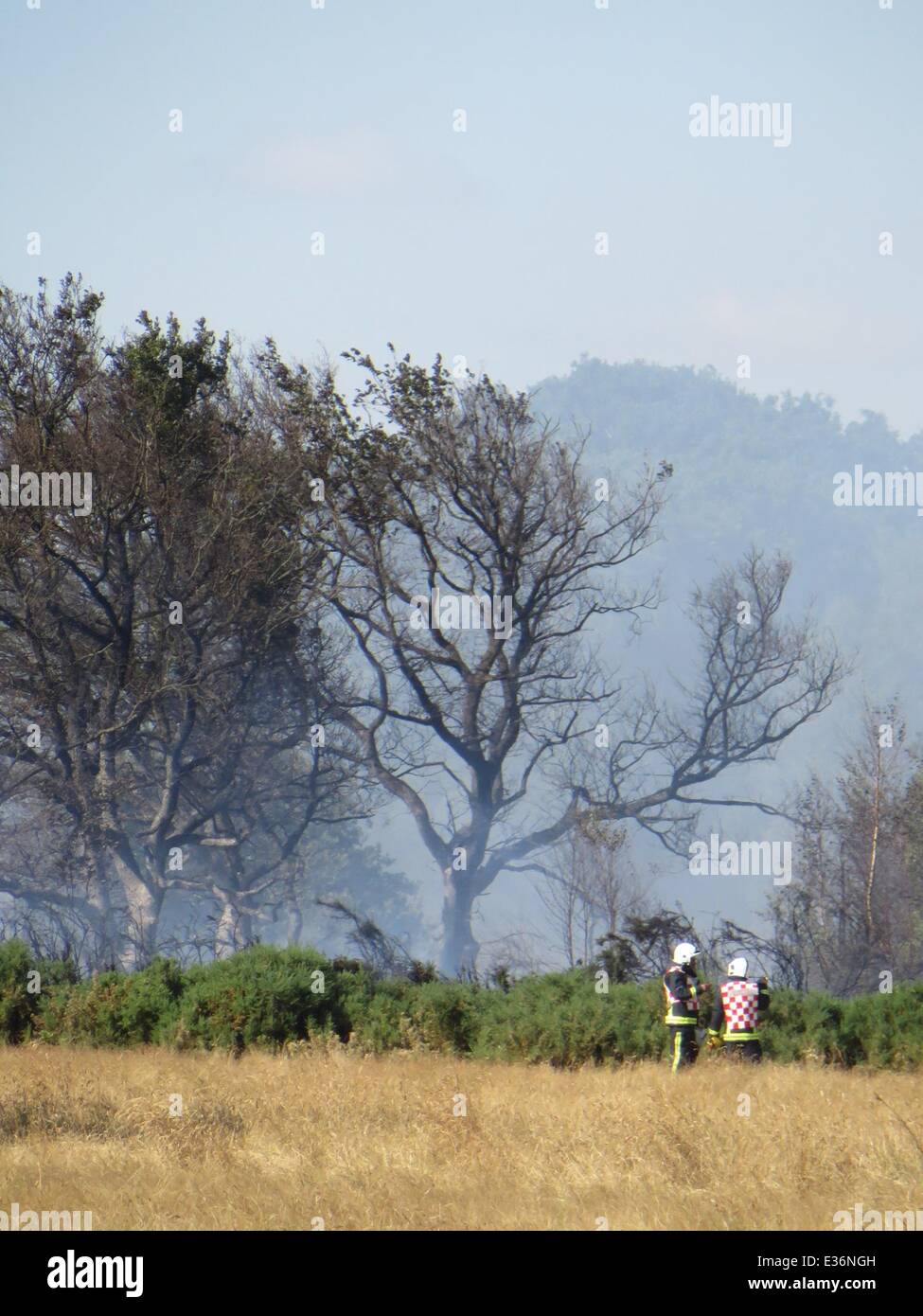 Waldbrand in Wanstead Wohnungen in der Nähe von Whipps Kreuz Krankenhaus und Snearsbrook Krone Gericht Featuring: Waldbrand Feuerwehrleute wo: London, Vereinigtes Königreich bei: 19. Juli 2013 Stockfoto