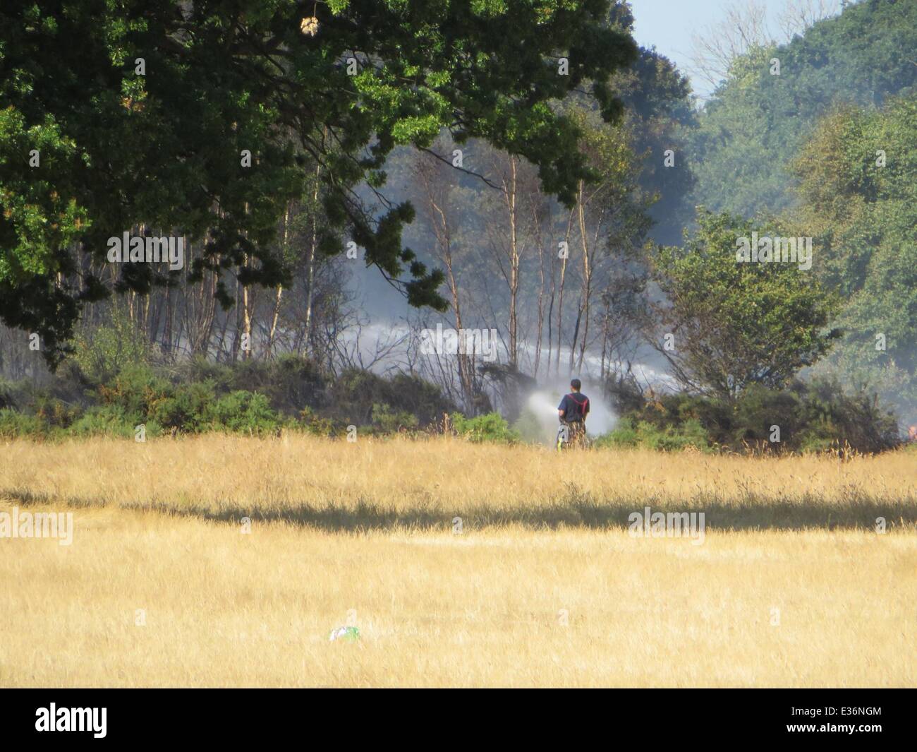 Waldbrand in Wanstead Wohnungen in der Nähe von Whipps Kreuz Krankenhaus und Snearsbrook Krone Gericht Featuring: Waldbrand Feuerwehrleute wo: London, Vereinigtes Königreich bei: 19. Juli 2013 Stockfoto