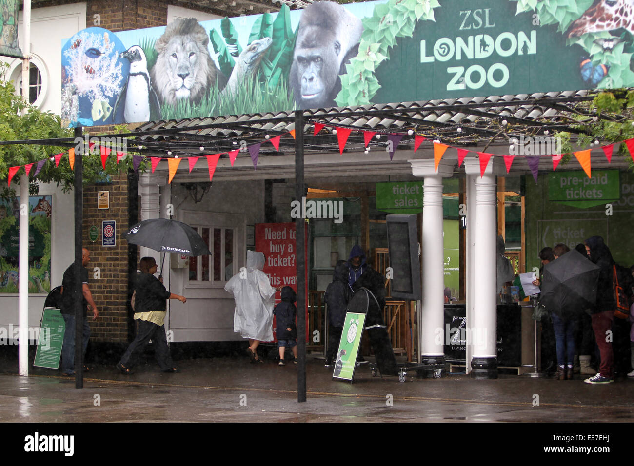 Touristen besuchen während eines Anfalls von Starkregen in der Hauptstadt London Zoo Featuring: Atmosphäre wo: London, Vereinigtes Königreich bei: 30. Juli 2013 Stockfoto