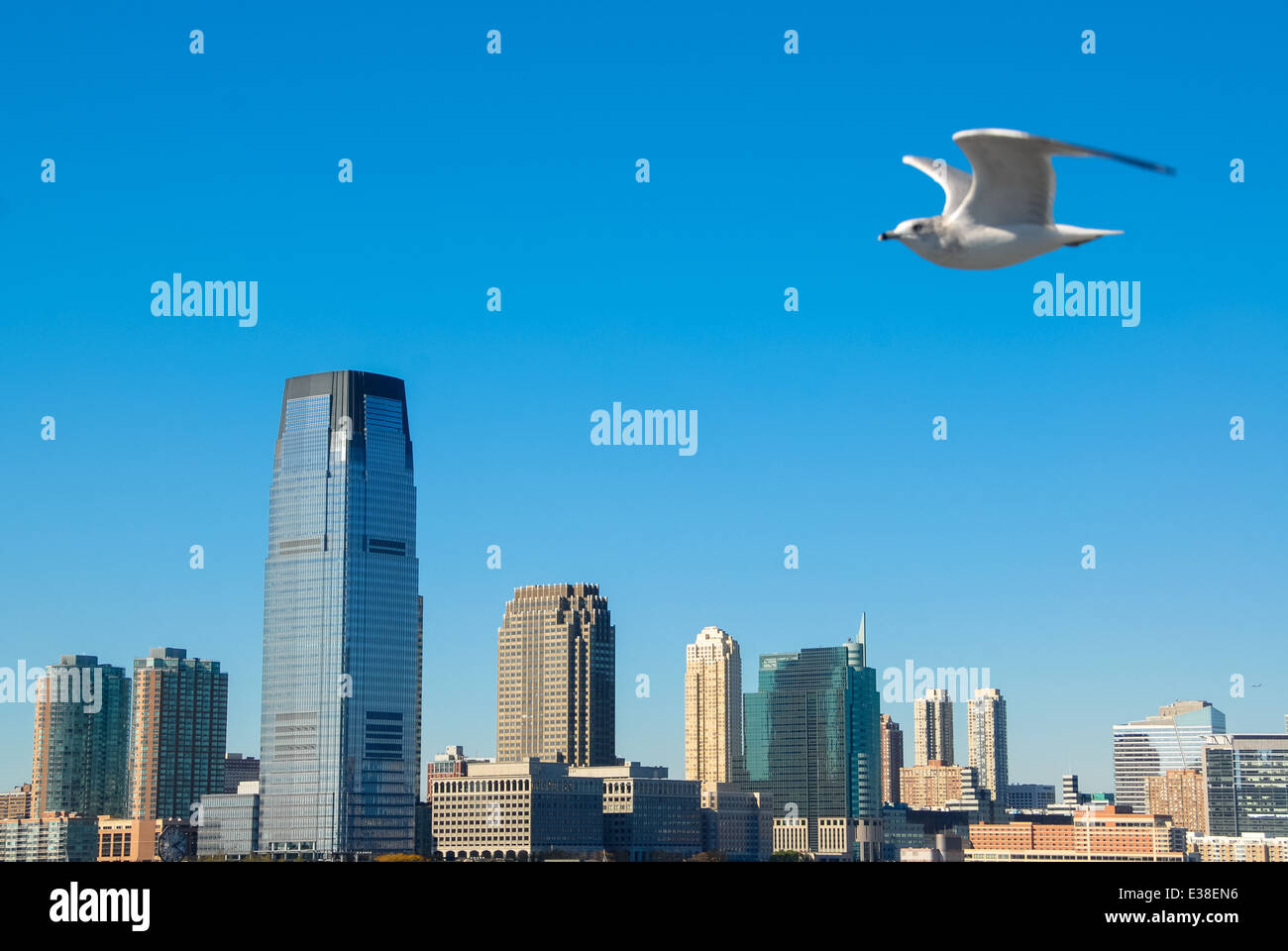 Möwe und Blick auf die Skyline von Manhattan in New York, Vereinigte Staaten Stockfoto