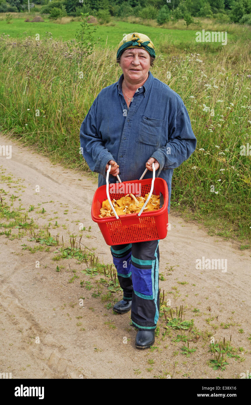 Lebensstil der ländlichen Sommer 2013. Die Einwohner des Dorfes kehrt aus dem Holz mit Champignons Pfifferlingen. Stockfoto