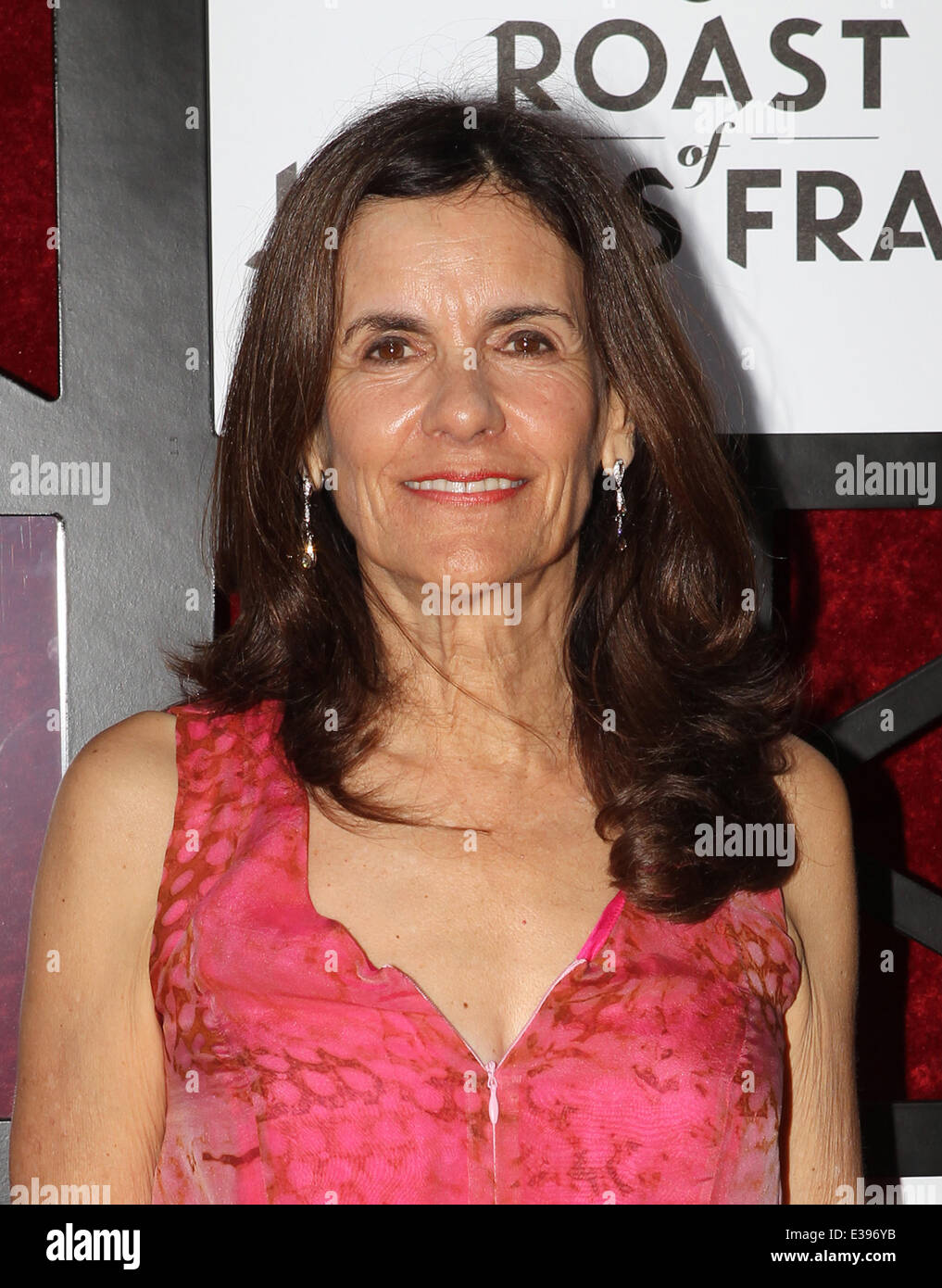Comedy Central Roast von James Franco statt in den Culver Studios mit Culver City: Betsy Lou Franco wo: Culver City, Kalifornien, Vereinigte Staaten, wann: 26. August 2013 Stockfoto