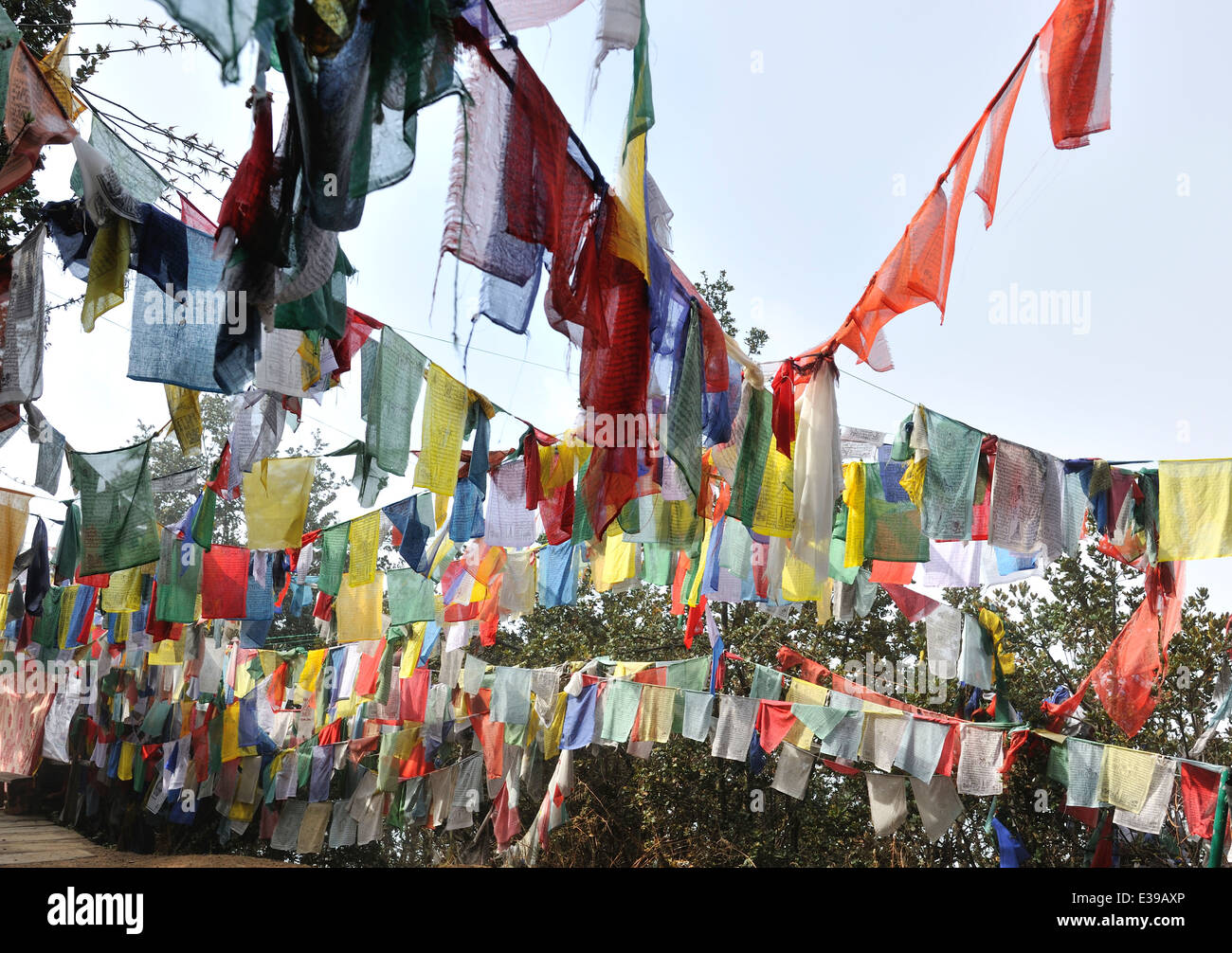 Gebetsfahnen auf dem Weg zum Kloster Taktshang Goemba, Paro-Tal, Bhutan Stockfoto