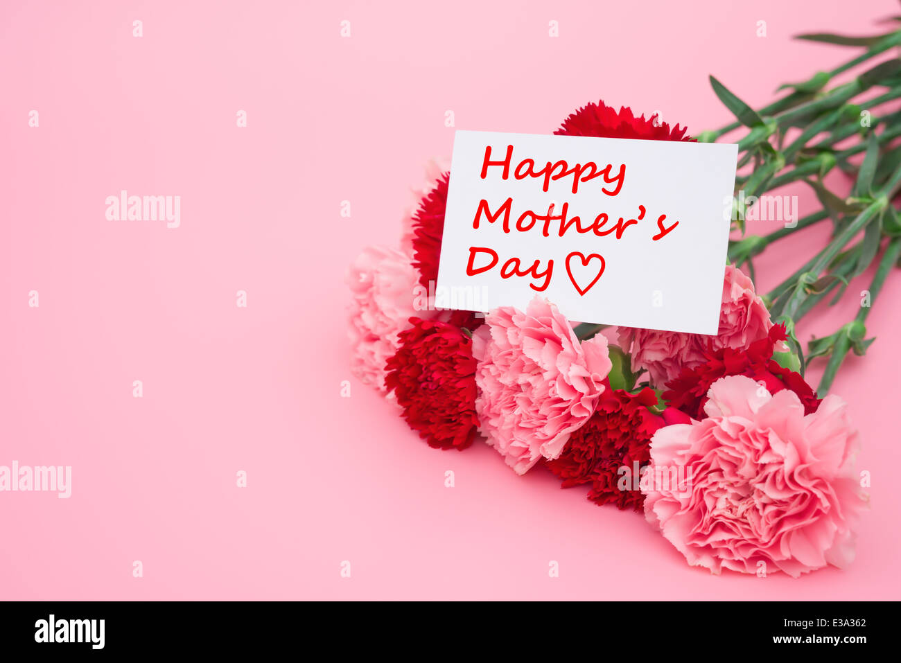 Karte der Muttertag mit rosa und roten Nelken Stockfoto
