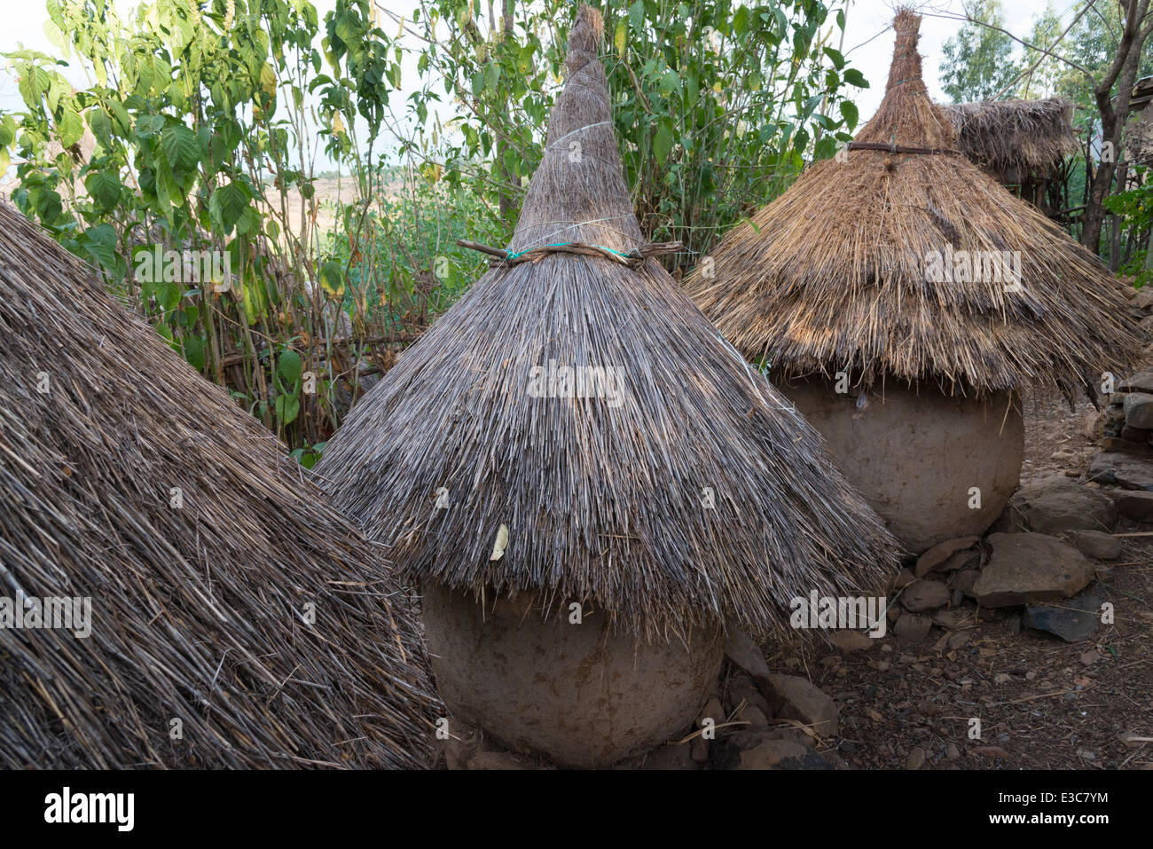 Ernte Lagerung Häuser. Ideologische Dorf Awra Amba. Nord-Äthiopien. Stockfoto