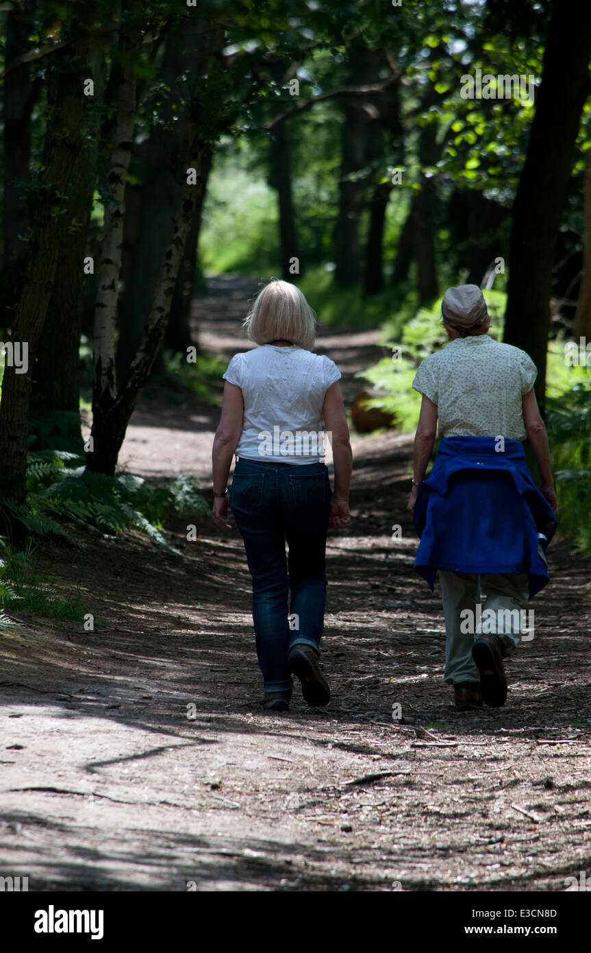 Weibliche Besucher Wanderer Waldweg Westleton Spaziergänge Dunwich Heath Stockfoto