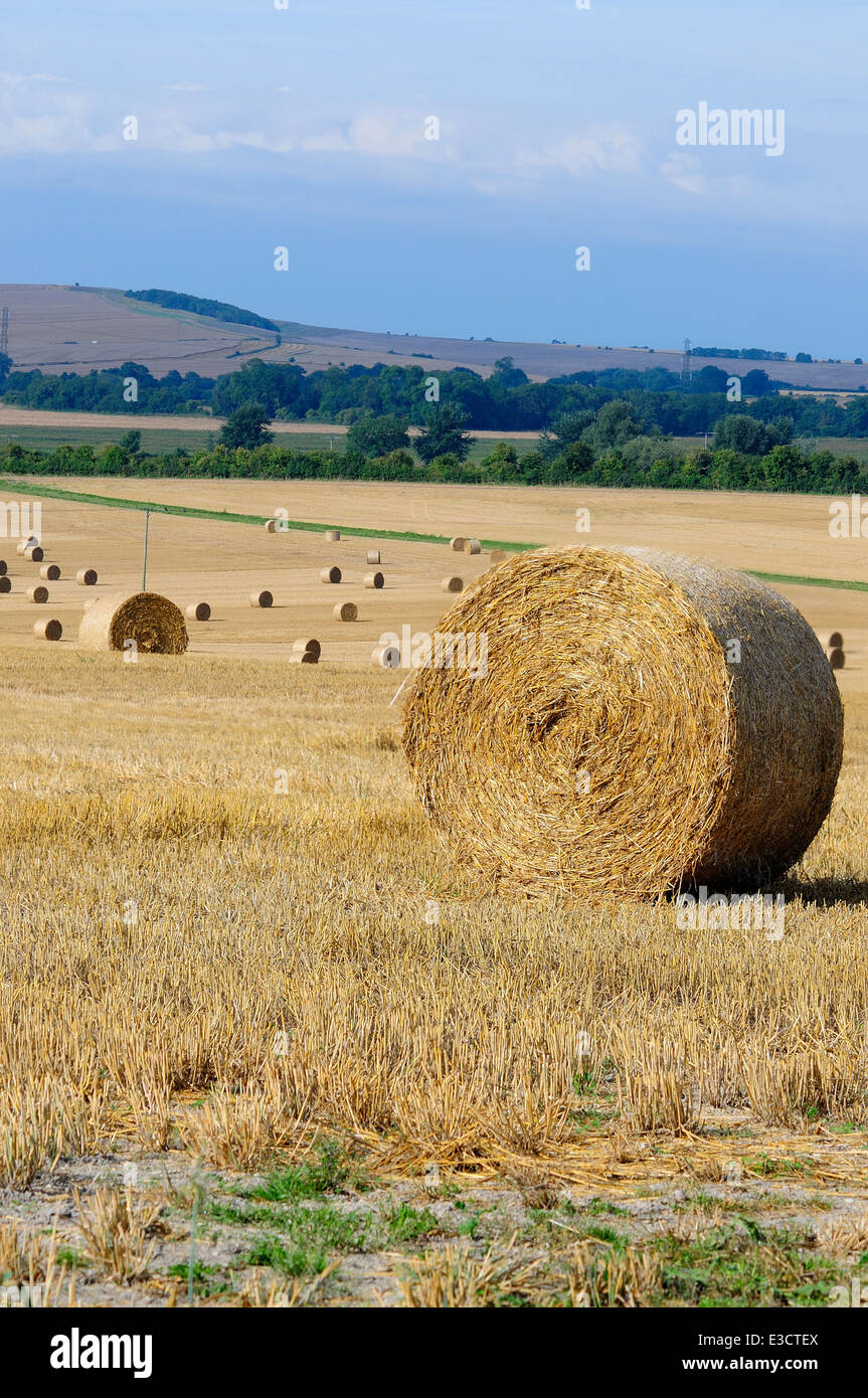 Ernte Rundballen in der Nähe von allen Cannings, Wiltshire, UK Stockfoto