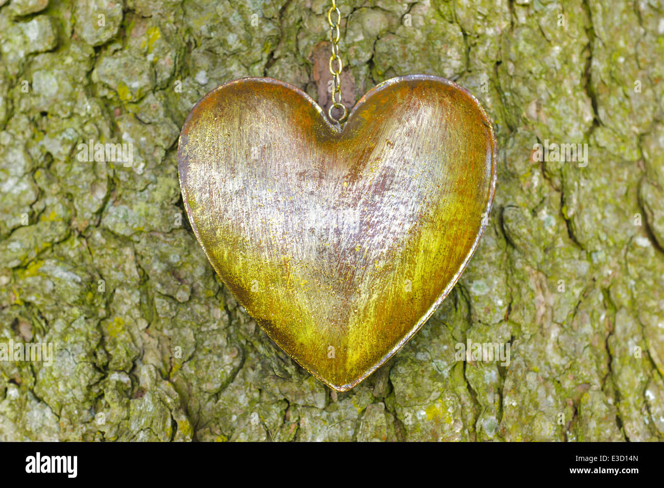 Ironn Herz auf Rinde Baum Stockfoto
