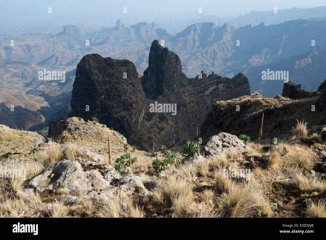 IMET Gogo Sicht. Trekking im Simien Mountains National Park. Nord-Äthiopien. Stockfoto