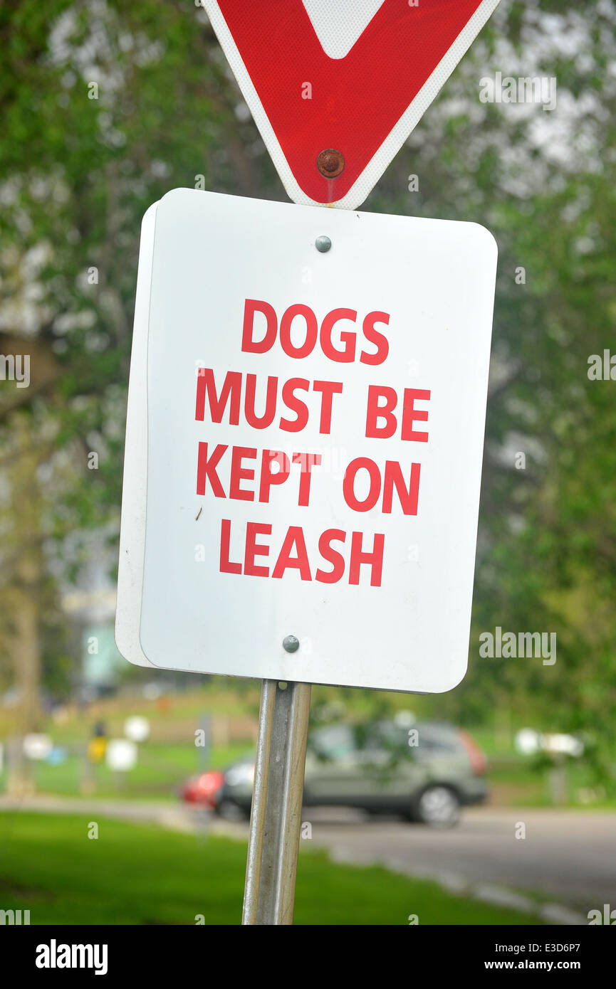 Ein Hunde müssen an einer Leine Zeichen in London, Ontario gehalten. Stockfoto