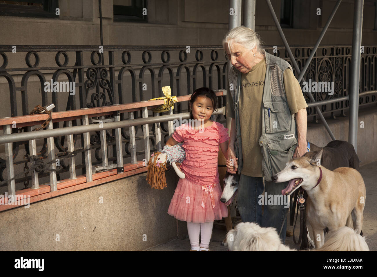 Oma geht ihre 4 Hunde mit ihrer Enkelin entlang 2nd Avenue in Manhattan, NYC. Stockfoto