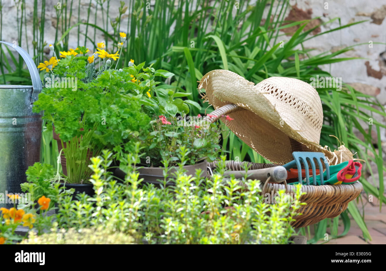 Gartengeräte in einem Korb mit Strohhut aromatische Kräuter und Blumen Stockfoto