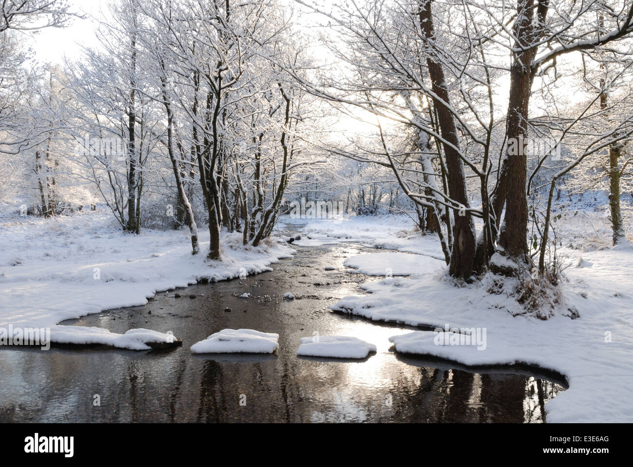 Trittsteine, Sherbrooke Tal, Cannock Chase im Schnee. Stockfoto