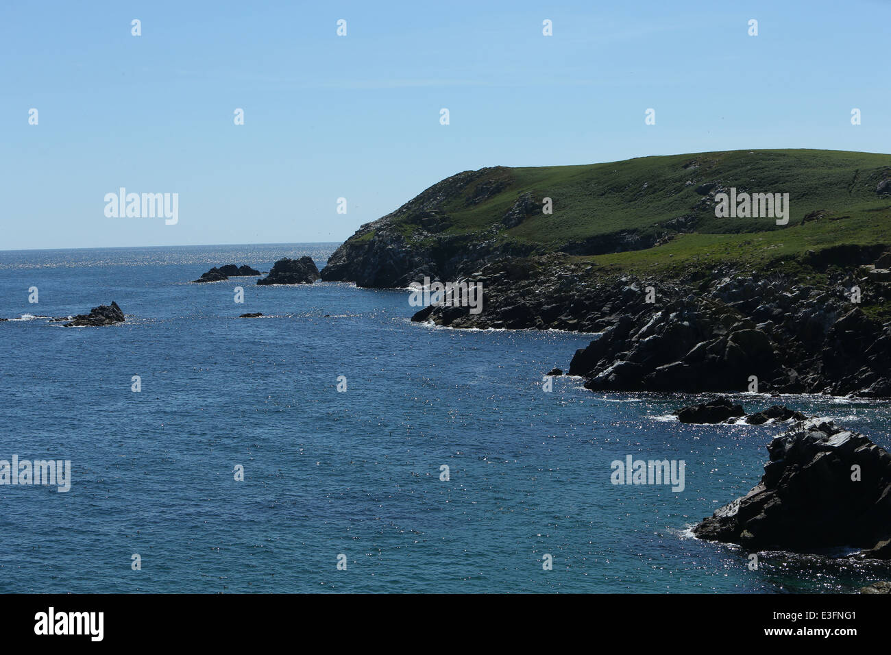 Ein Blick auf die Landschaft auf den Saltee Inseln in Wexford, Irland. Stockfoto