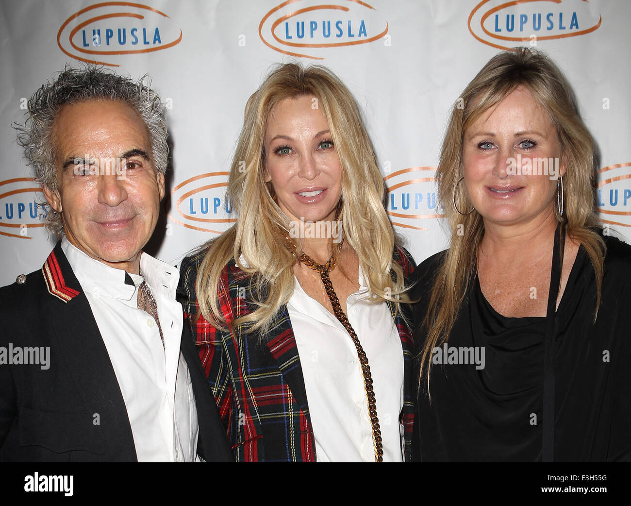 11. jährliche Lupus LA Hollywood Tasche Damen Luncheon mit: Donald Pliner, Lisa Pliner, Kelly Stein wo: Beverly Hills, Kalifornien, Vereinigte Staaten, wann: 15. November 2013 Stockfoto