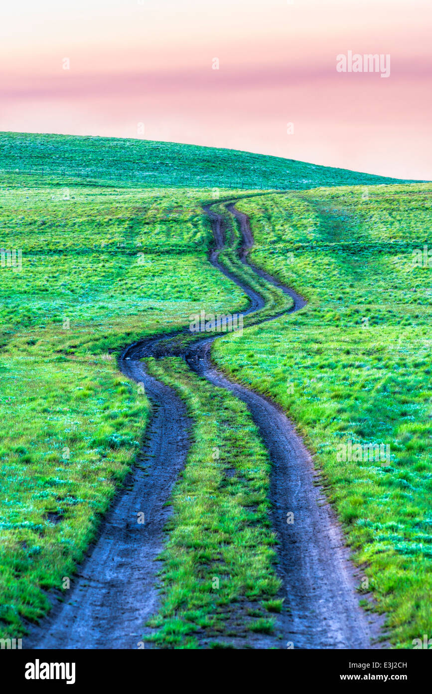 Feldweg in Oregon Zumwalt Prairie. Stockfoto