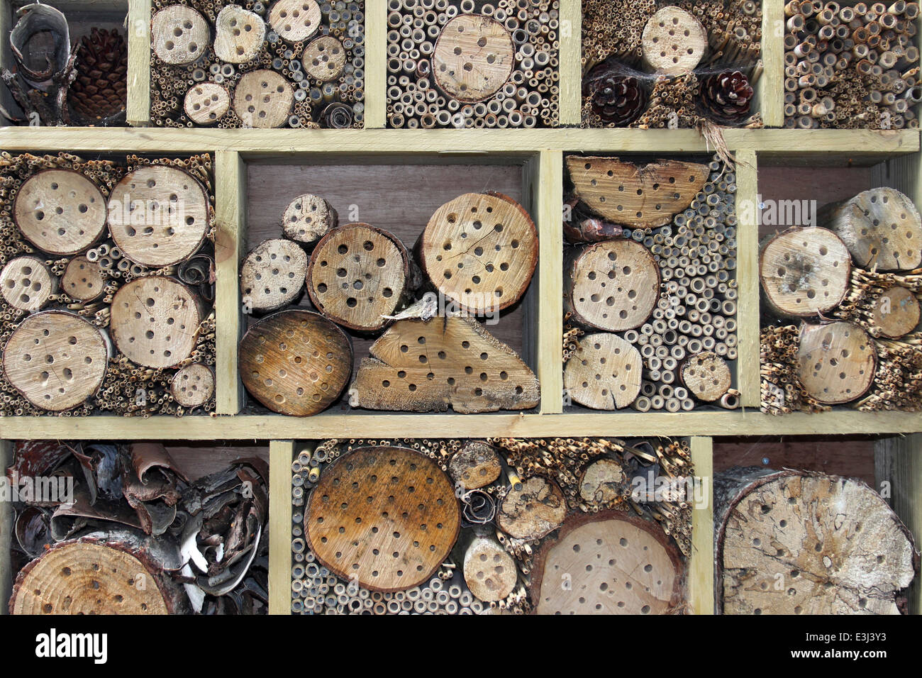 Fehler-Haus bietet Verschachtelung Löcher für eine Vielzahl von Minibeasts Stockfoto